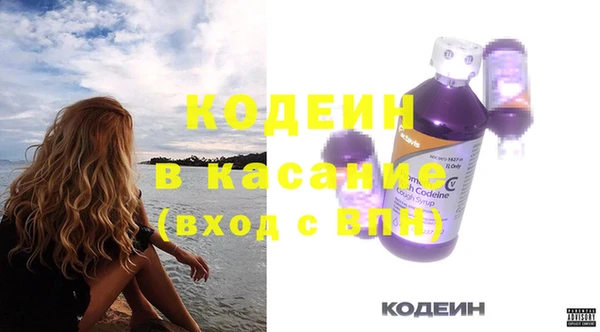 прущие грибы Абаза