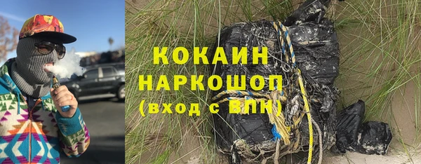 прущие грибы Абинск
