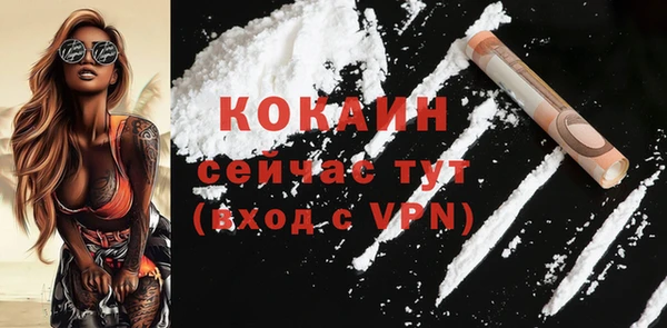 прущие грибы Абинск