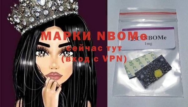 прущие грибы Абаза