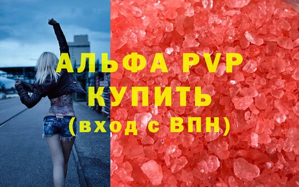 прущие грибы Абаза