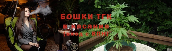 прущие грибы Абаза